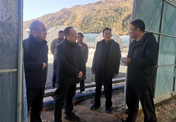 張佩峰到卓尼縣柳林鎮(zhèn)調(diào)研集團(tuán)公司鞏固脫…